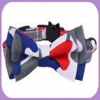 Collar-222